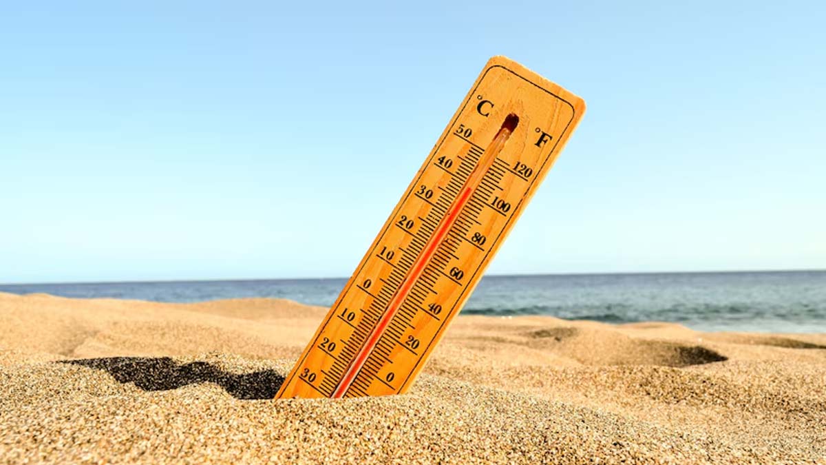 Avoid Eating These Foods During Summer That Increase Heat In Your Body